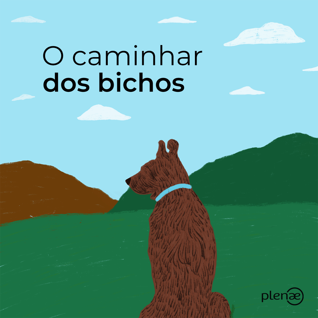 O caminhar dos bichos